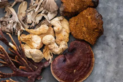 Hongos funcionales variados