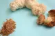 Comparativa entre cuerpo fructífero y micelio de Melena de León