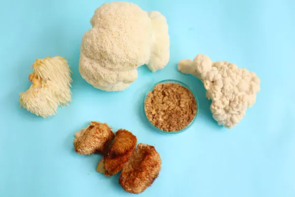 Cómo consumir Melena de León correctamente