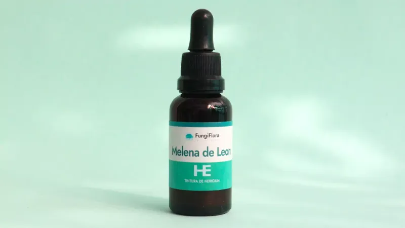 Recetas funcionales con hongos medicinales
