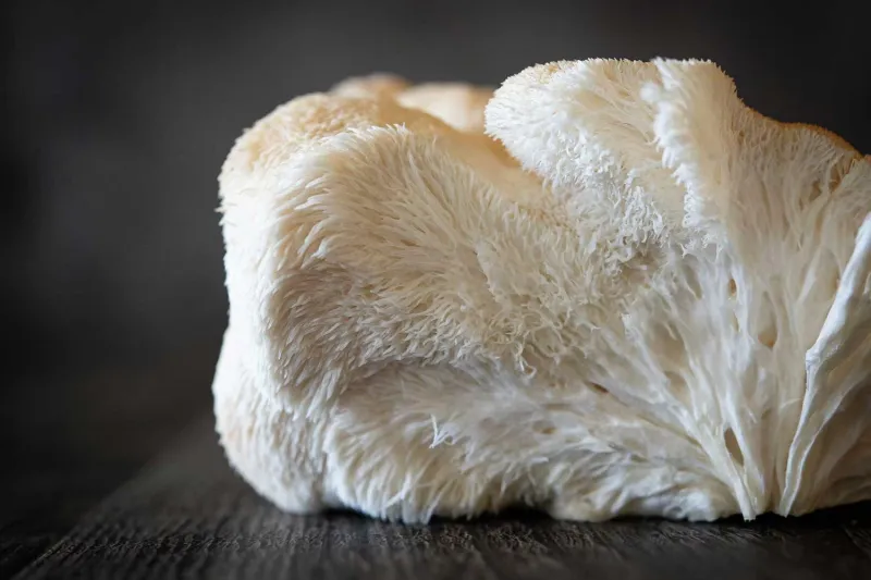 Imagen de portada de Aperitivos De Melena De Leon