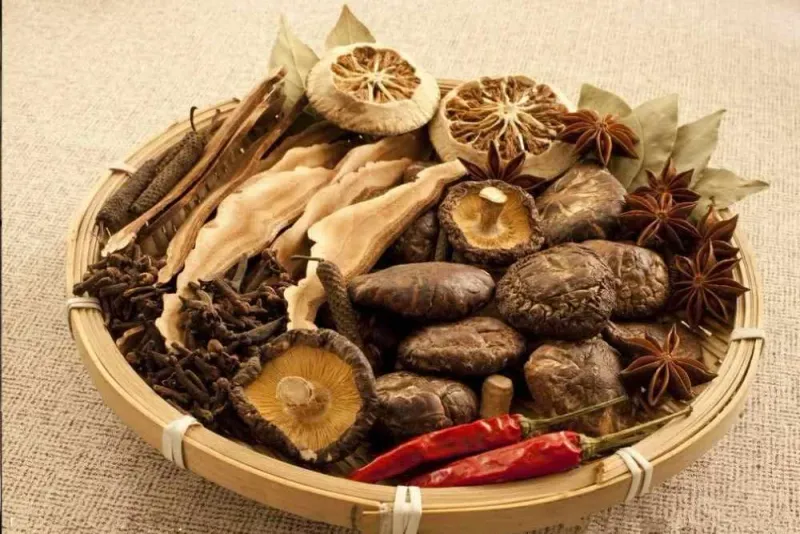 Plantas y hongos medicinales — guía de contraindicaciones y precauciones de uso