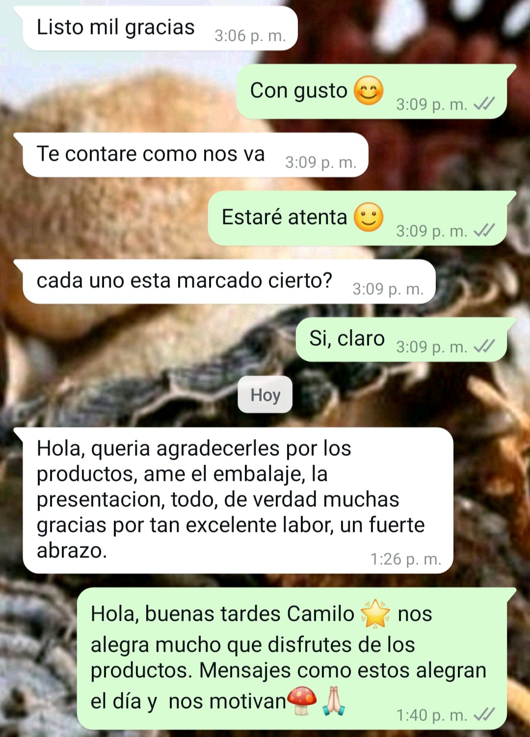 Opinión real de cliente por WhatsApp 1