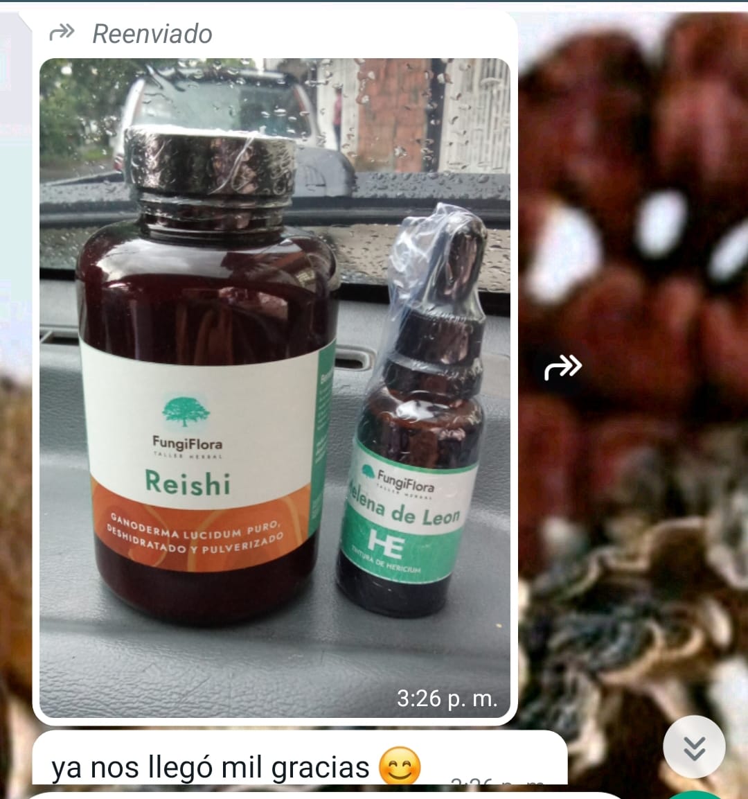 Opinión real de cliente por WhatsApp 6