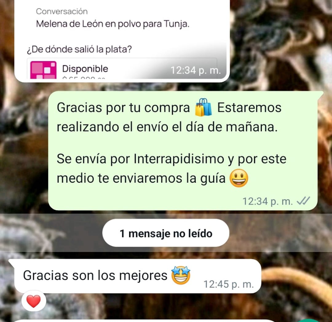 Opinión real de cliente por WhatsApp 7