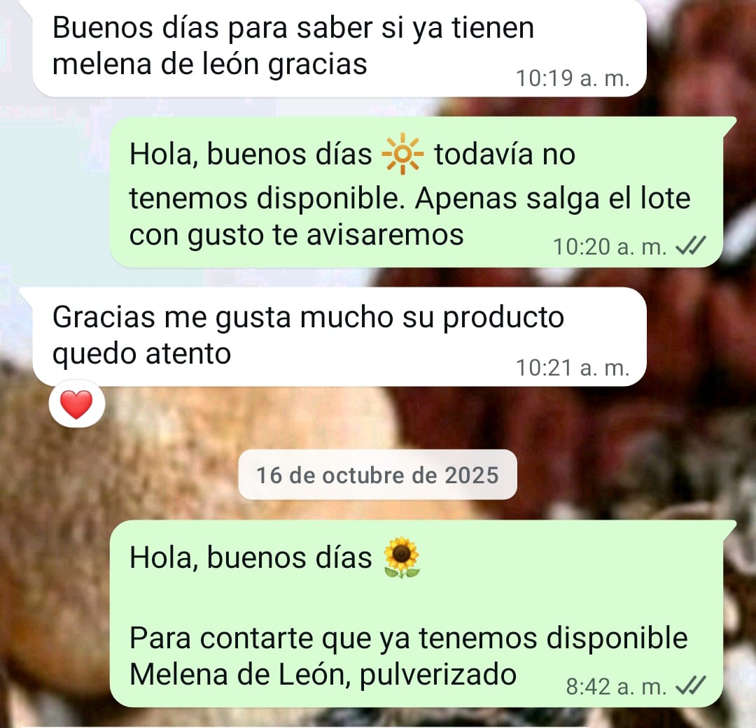Opinión real de cliente por WhatsApp 9