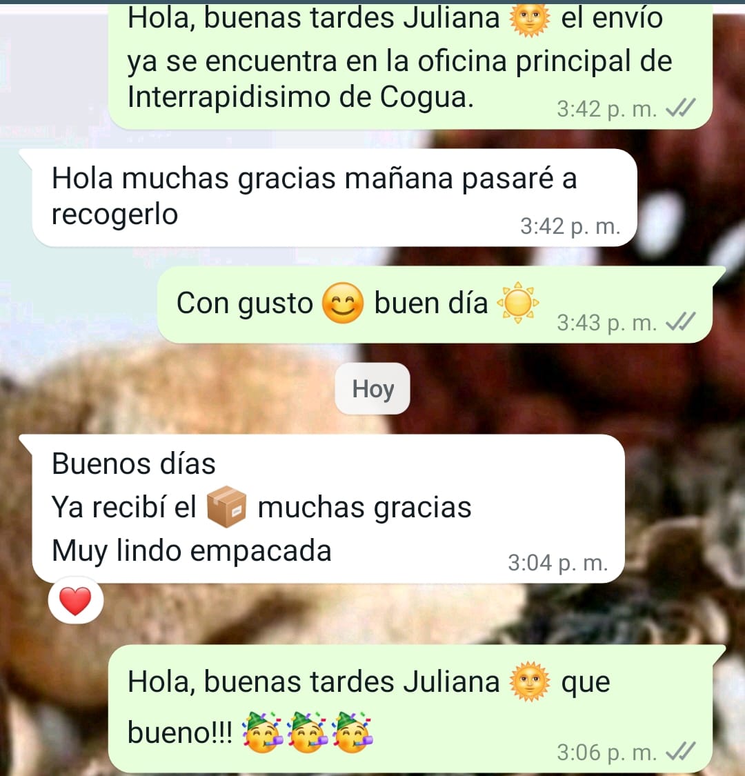 Opinión real de cliente por WhatsApp 11